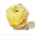【色彩】联考单体讲解之 苹果——杭州白塔岭画室/美术宝直播