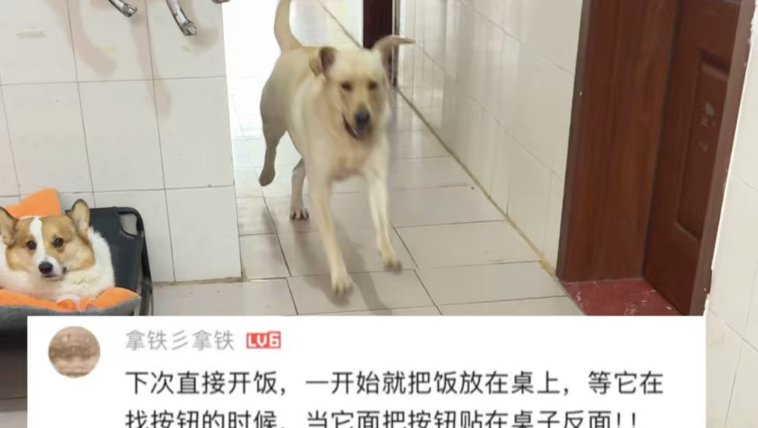 代码冲突了