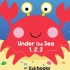 【3-6岁英文】【数字认知】Under the sea 1 2 3【语速慢】【有逐字字幕】