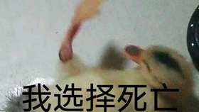 3dbebb9f354a35ebe209a6562aaaa836ea70199a.jpg@280w_158h_1c_100q.jpg