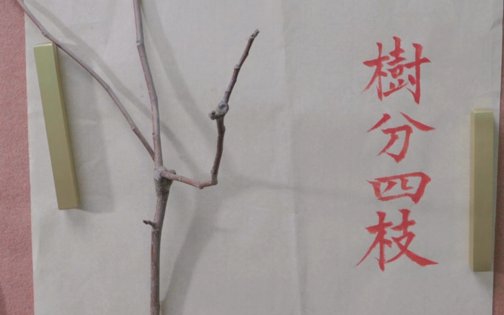 国美学姐黄博士,教大家画树秘籍(树分四枝)