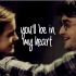 【哈赫】harry + hermione | you'll be in my heart