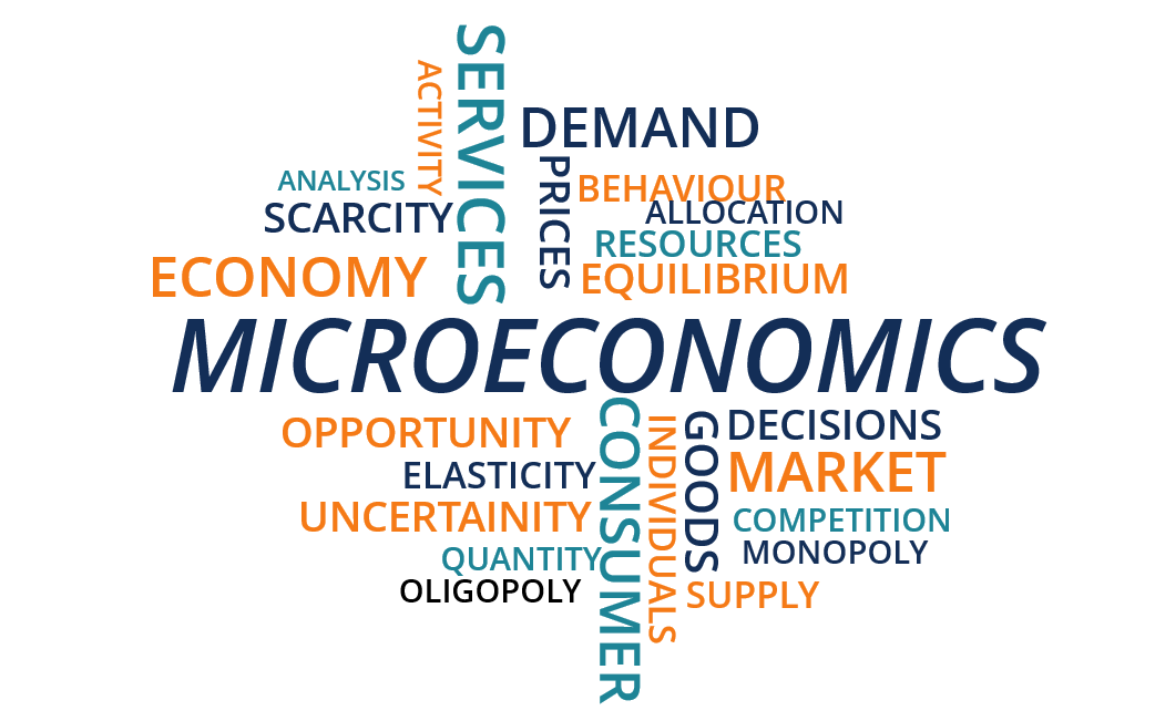 AP Microeconomics 微观经济学