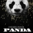 【Desiigner】热单<Panda(熊猫)>MV [1080p中英字幕]