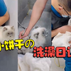小饼干の洗澡日记