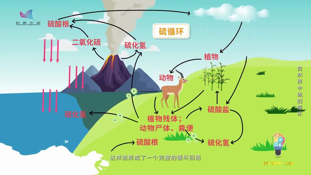 不同含硫物质的转化