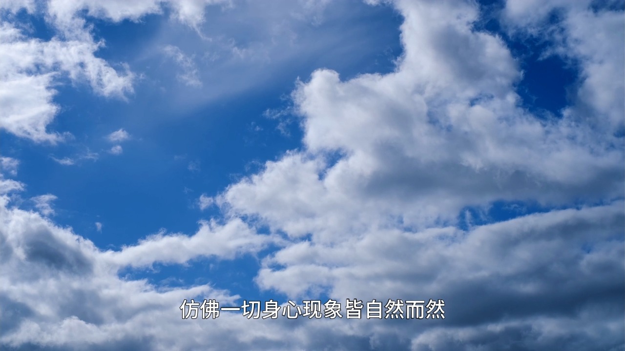 如何摆脱头脑的胡思乱想，随时进入定静的状态？一个随时随地都可以使用的实修法门！