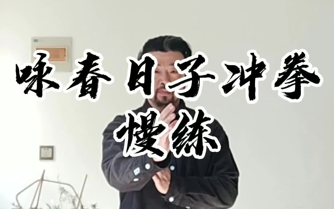 咏春日字冲拳慢练