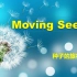 Moving Seeds