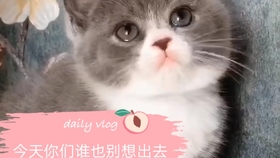3e3912e05369493cdc59305ad496fb066f9776b2.jpg@280w_158h_1c_100q.jpg