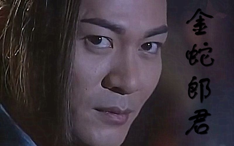 碧血剑金蛇郎君夏雪宜江华剪辑三