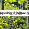 怎么将vob格式转换avi格式