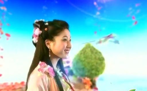 非常岳母电视剧全局