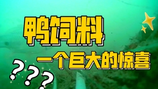 3e6df19d4a8077adf6c089e0e20f133c7d7b7eb1.jpg@310w_174h_1c_100q.jpg