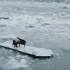 意大利钢琴家Ludovico Einaudi在破碎的冰川上弹奏《北极挽歌》