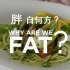 【WEB 中字】胖自何方？Why Are We Fat？（全3集）