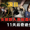 俄罗斯3岁女童和狗一起失踪，家人寻找无果，11天后狗狗回来报警