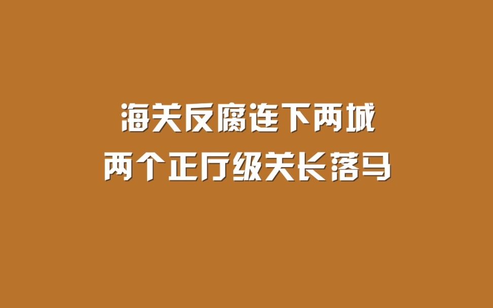 海关反腐连下两城 两个正厅级关长落马哔哩哔哩bilibili