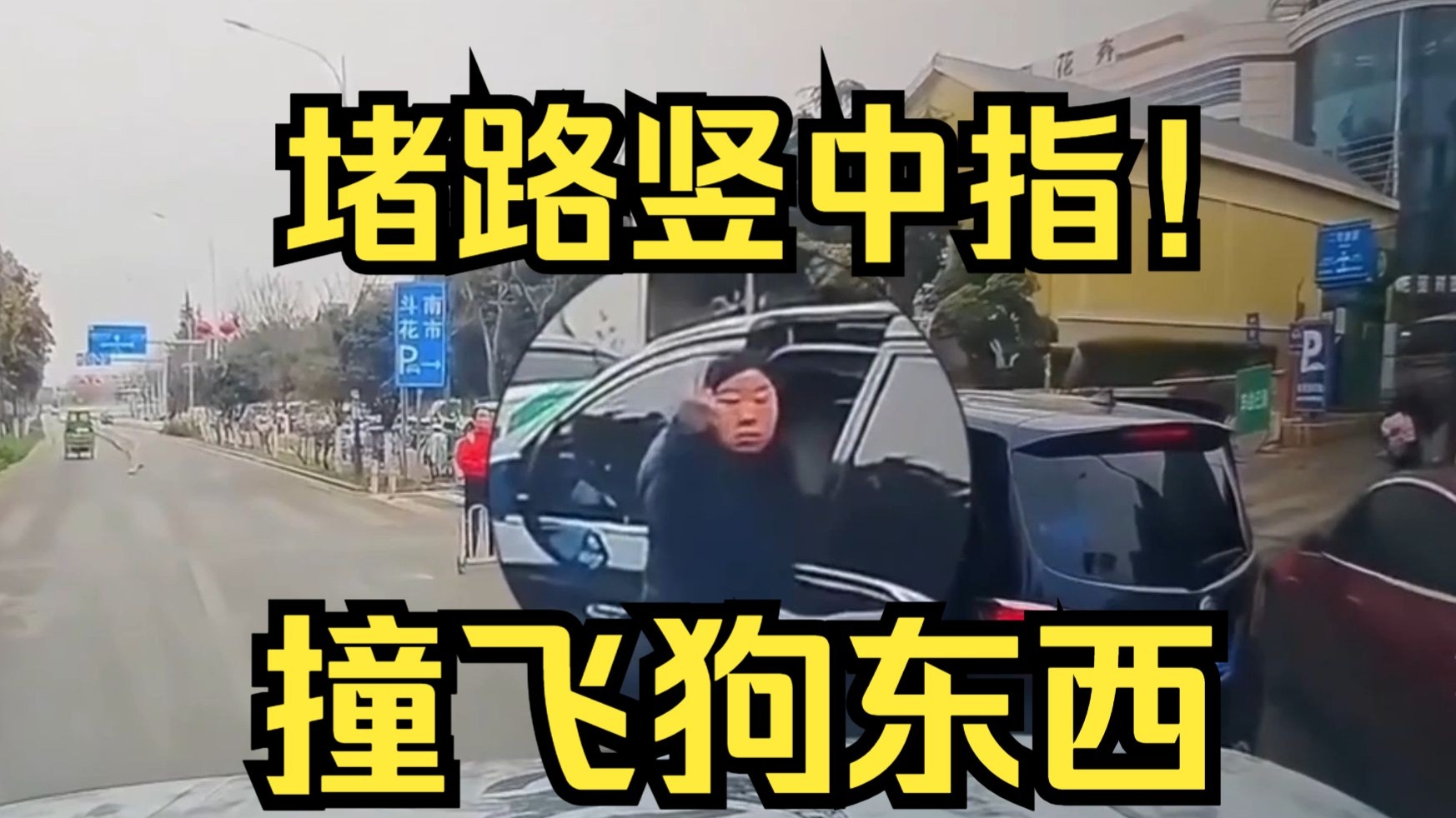 堵路竖中指！车主一脚油门撞飞狗东西