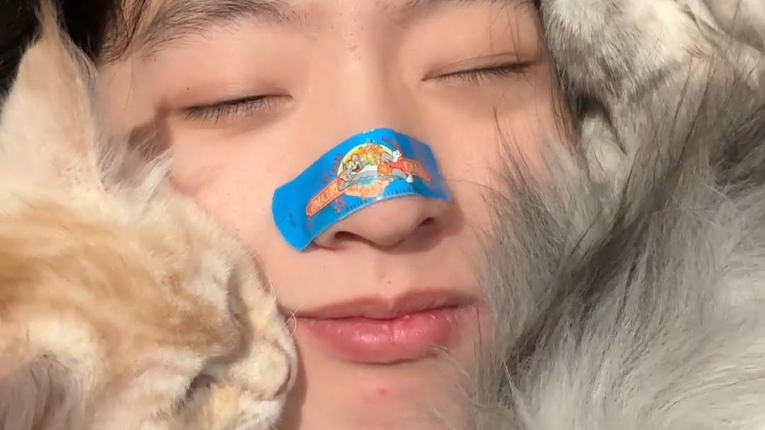 《当你朋友想养缅因猫就给ta看这个视频》