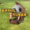 足球场的草坪为什么可以卷起来？这与它们的种植方式有关
