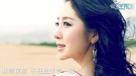 陶笛梅花泪曲谱_陶笛曲谱12孔