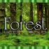 ⚜4K超清⚜ 自然森林 ? 风景放松电影＂优美轻松的音乐＂深度聚焦
