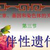 高中生物必修二（新人教版）-2.3-伴性遗传（第1课时