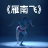 《雁南飞》独舞 湖南艺术职业学校 第九届全国舞蹈比赛