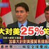 美加互加征关税 开始内斗
