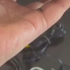 机顶盒连接教程