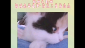 3f294ef6be5dc9d6809c34b12f00967b9823f3eb.jpg@280w_158h_1c_100q.jpg
