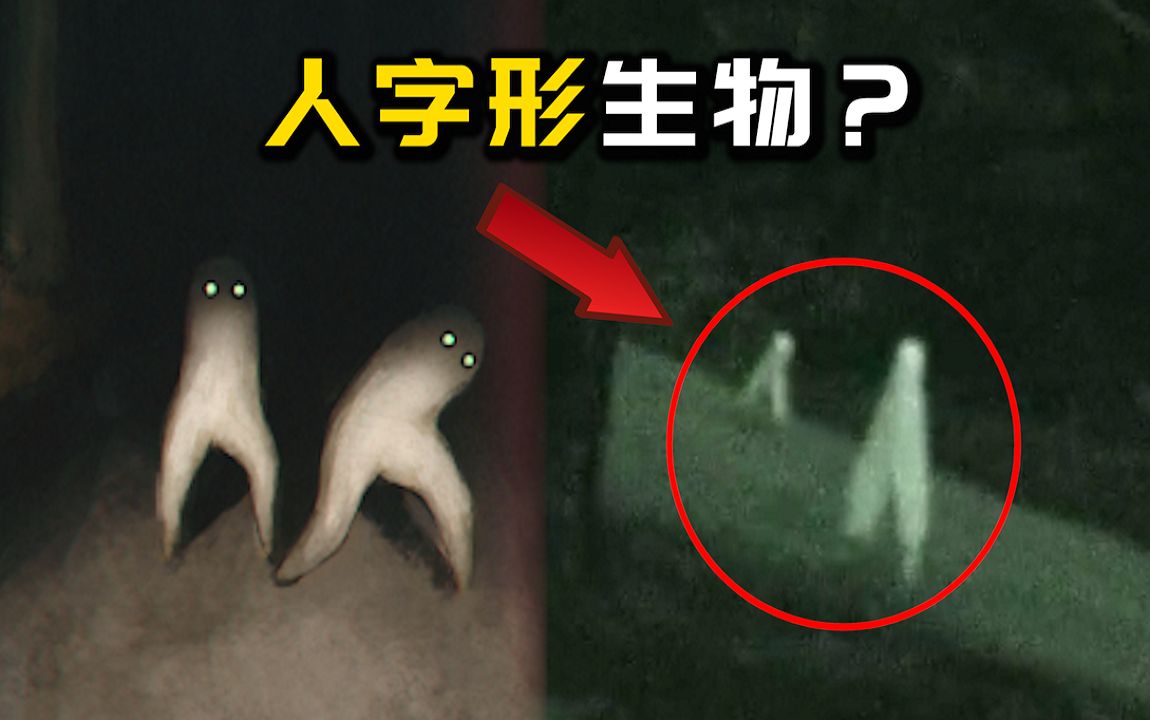 字幕下载