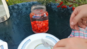 Candied Violets Recipe: A Delightful Treat for Your Sweet Tooth