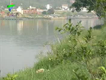 梅花网上找到在甘竹广告合集（2003-2024）