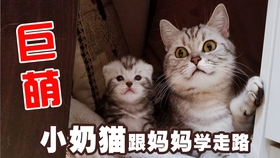 3f68238a8743d02f2efe92df7c35c411371abca9.jpg@280w_158h_1c_100q.jpg