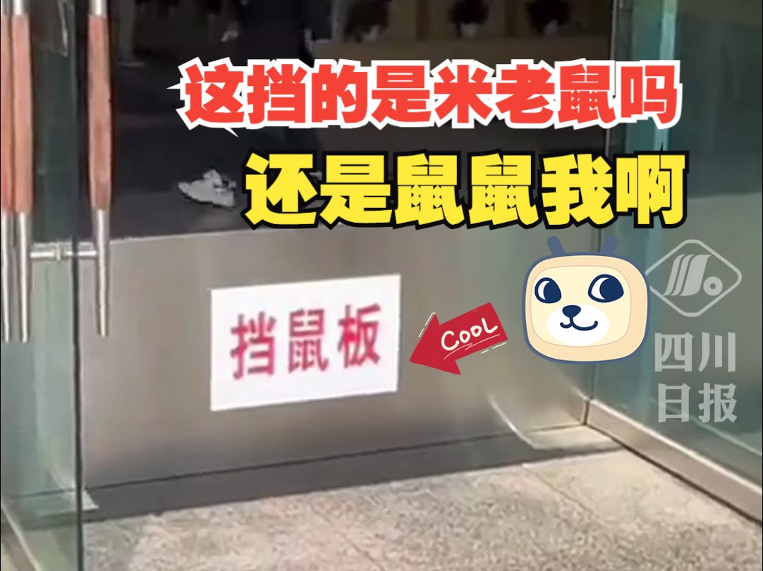 网友分享学校食堂安装的挡鼠板，网友：重庆的老鼠真有这么厉害？