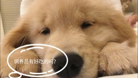 3f866ba0d974ee5944b5a30b75198eb3f73c16ae.jpg@280w_158h_1c_100q.jpg