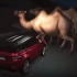 “于月仙车祸”推算受数十吨冲击力：“车撞骆驼”有多危险？