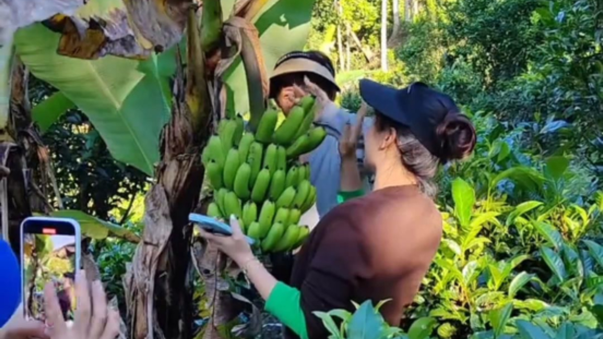 北欧TV之玩到真的开心农场了