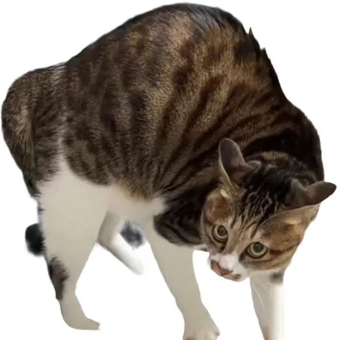 奥~你高你高你高你高你高你~你高你高你高你高你高你~你高你高你高你高你高你~你高你高你高你高你高你~你高你高你高你高你高你~你高你高你高你高你高你~你高你高你高