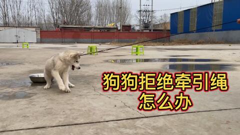 3f9f646e516a74cb9c47b449ca2f218560fe9d23.jpg@480w_270h_1c
