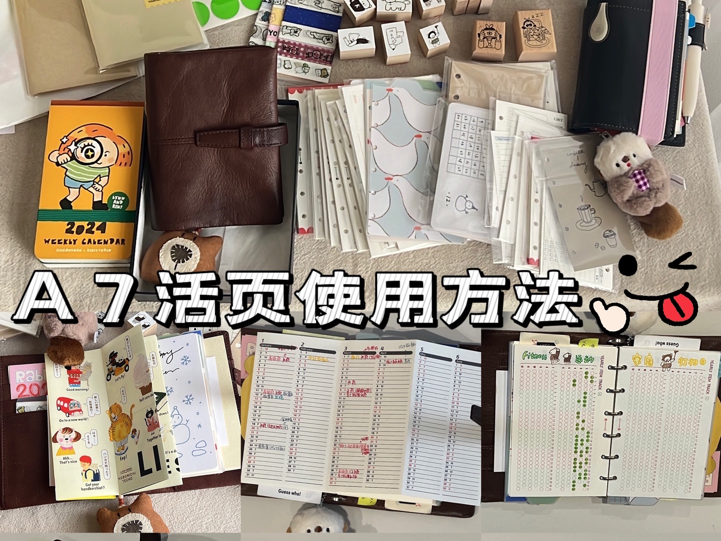 a7活页使用方法｜太适合做我的健康本了！