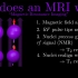 【中英字幕】核磁共振NMR及成像MRI 基本物理原理 有公式有动画 超详细！！ T1/2弛豫 自旋回波