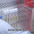 【食品理化检验】食品微生物之检验方法——金黄色葡萄球菌检验方法