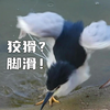 狡猾の企鹅酱