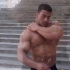 Bodybuilder - Musclegallery - Tarek Elsetouhi
