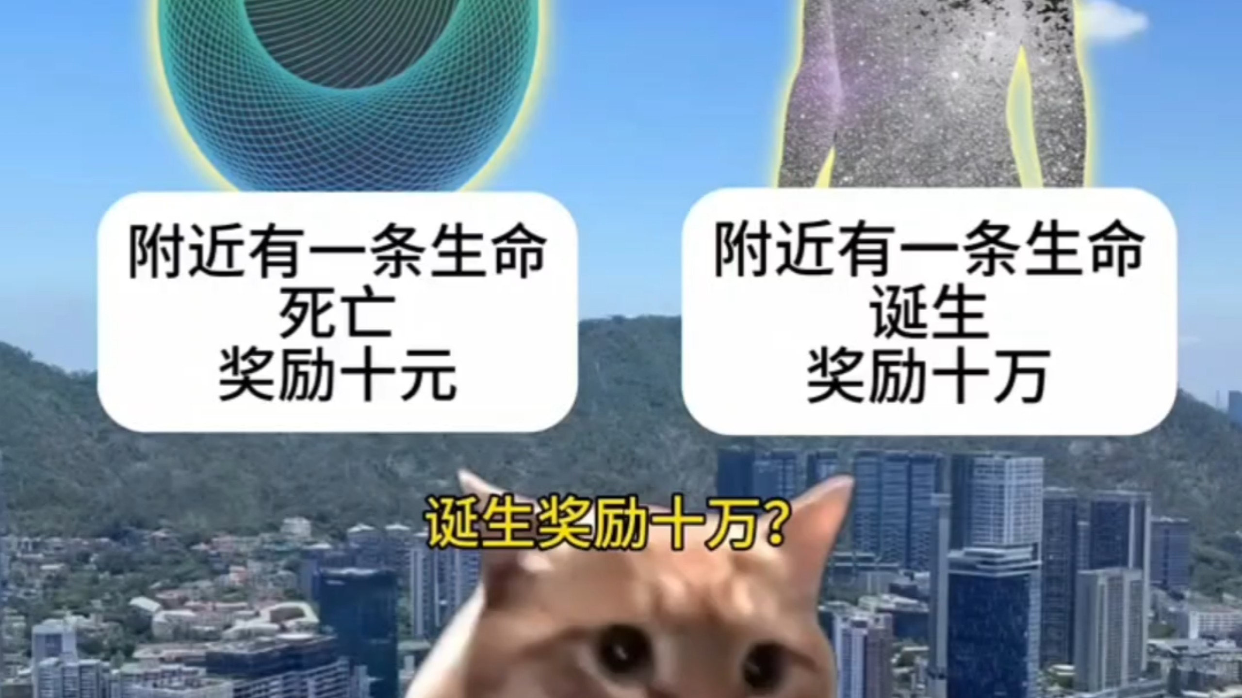 请做出你的选择