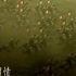 2211752_3D古代战争战场 军队厮杀 千军万马 兵法布阵冲锋打仗 视频素材