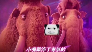 憋笑挑战吗 实在没绷住